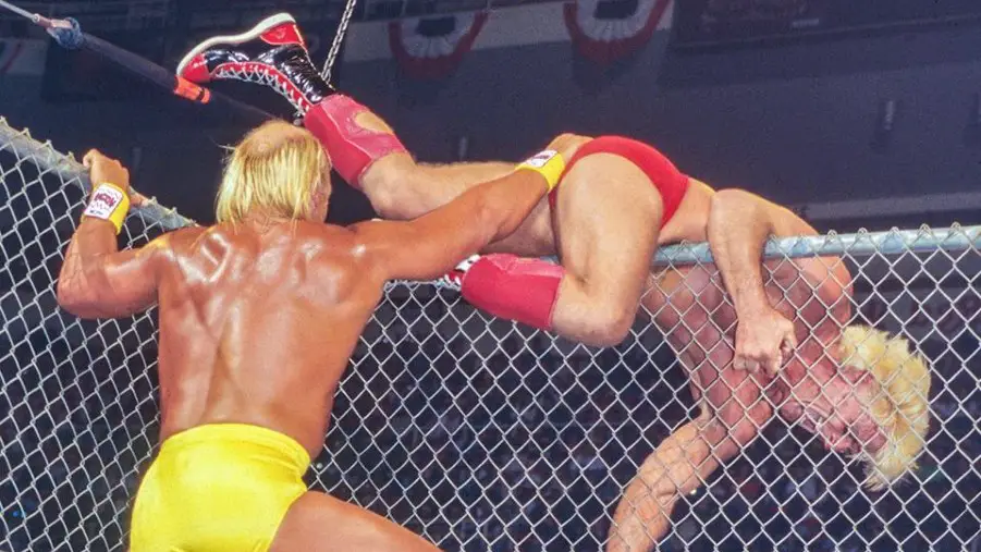 Hulk hogan ric flair cage match halloween havoc 1994